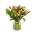 Kytice  tulipánů